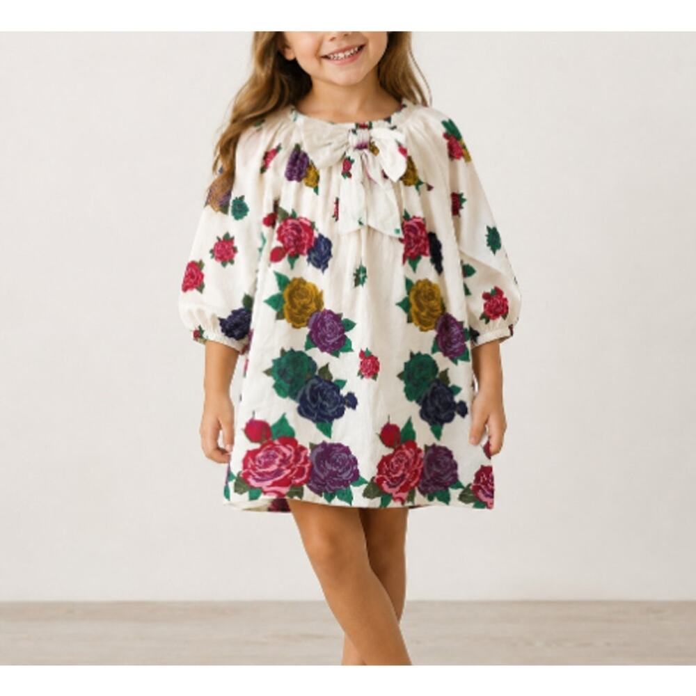 Pink Chicken Girl's Multicolor Long Puff Sleeve Floral Dress Size 3Y